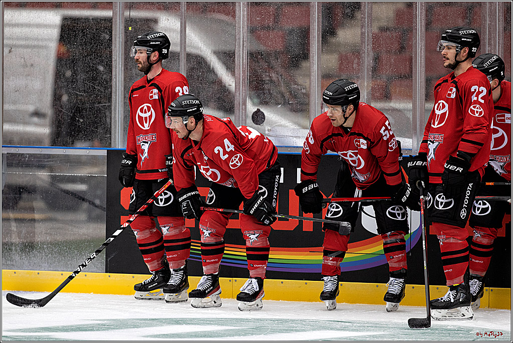 PENNY DEL WINTERGAME;  Kölner Haie Training; Köln, 02.12.2022